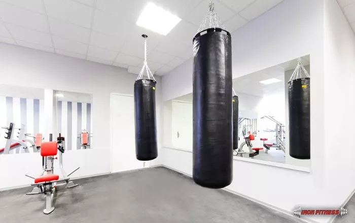 Фитнес клуб "Iron Fitness".