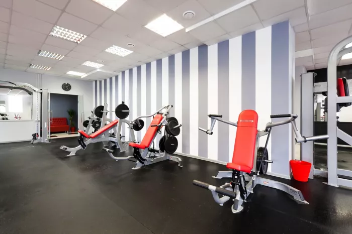 Фитнес клуб "Iron Fitness".