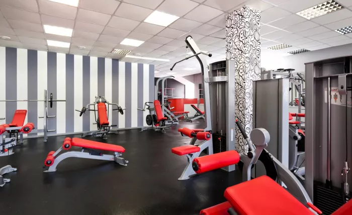 Фитнес клуб "Iron Fitness".