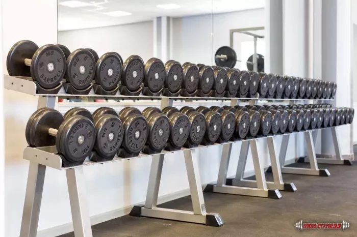 Фитнес клуб "Iron Fitness".