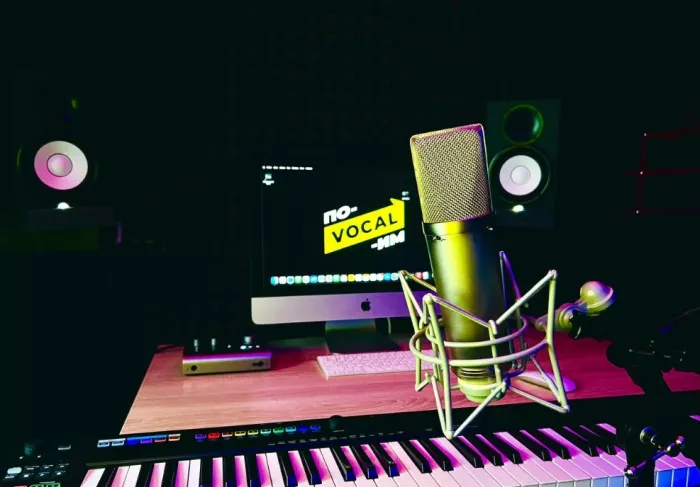 Студия вокала "ReVoice".