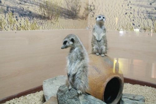 Экзотариум "Парк рептилий"