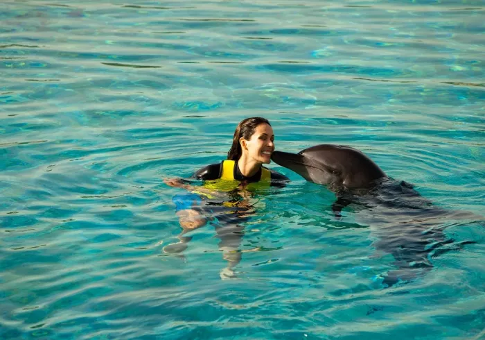 Дельфинарий "Dolphin"