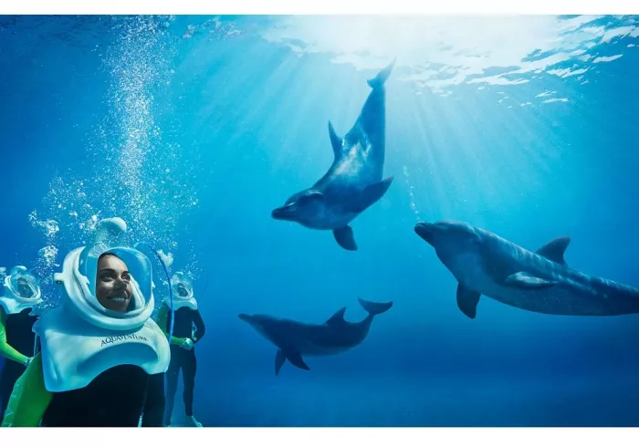 Дельфинарий "Dolphin"