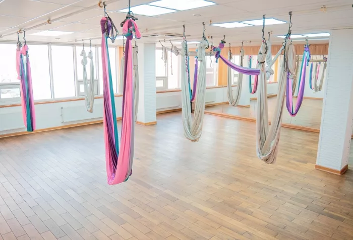 Сеть студий йоги "Yogasana".