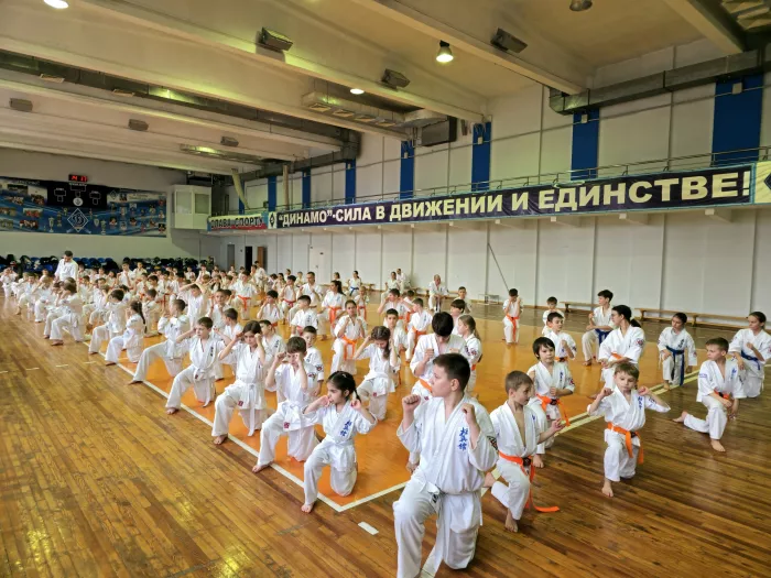 Каратэ Кёкусин-кан Краснодарского края - КРОК