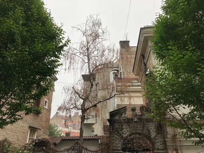 Скадарлия