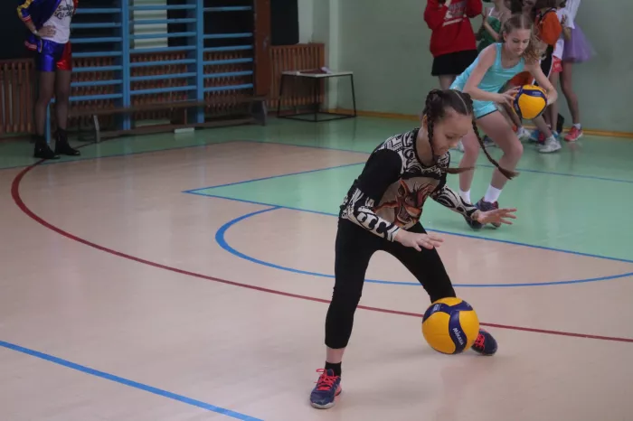 Секция по волейболу "FOXVOLLEY"