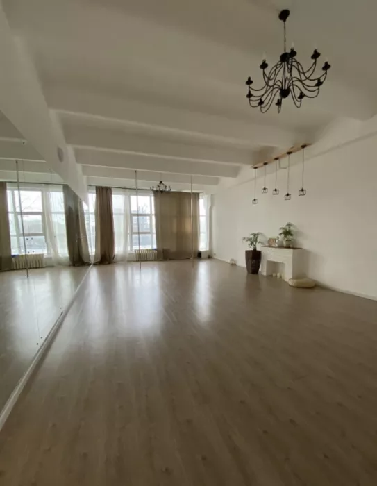 Студия танцев, йоги и фитнеса "Shark Pole Studio".