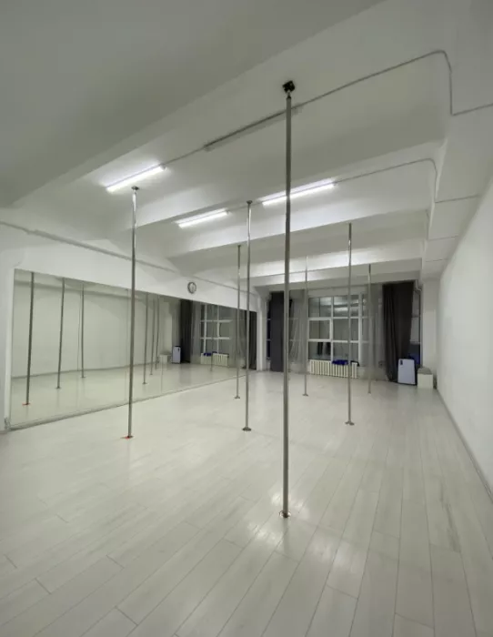 Студия танцев, йоги и фитнеса "Shark Pole Studio".