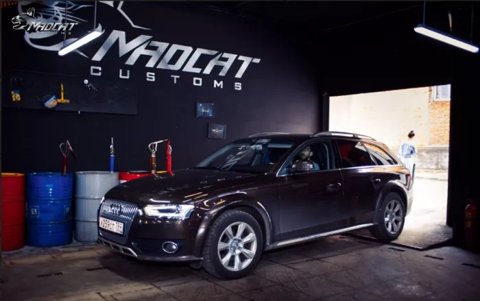 Автотехцентр "MADCAT customs".