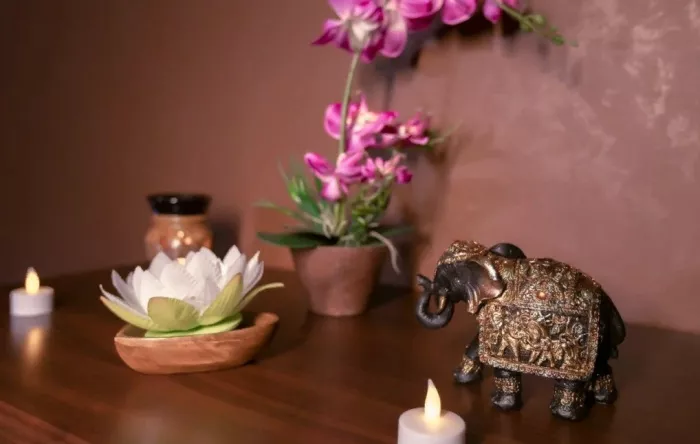 Сеть массажных салонов "Crown Thai SPA".