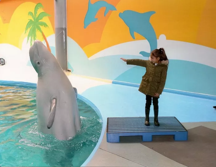 Дельфинарий- "Istanbul Dolphinarium"