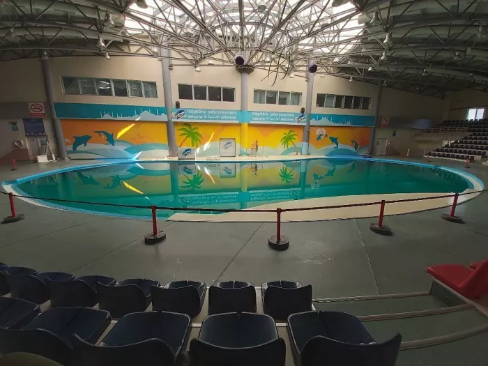 Дельфинарий- "Istanbul Dolphinarium"