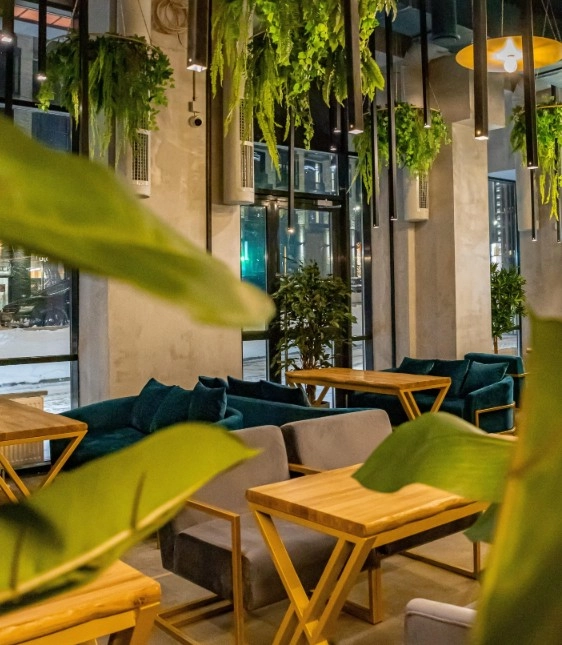 Кафе "Veches lounge bar and kitchen".