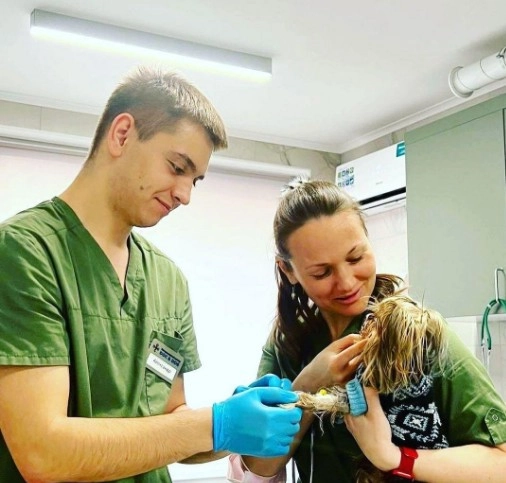 Ветеринарный центр "Doc&Dog".