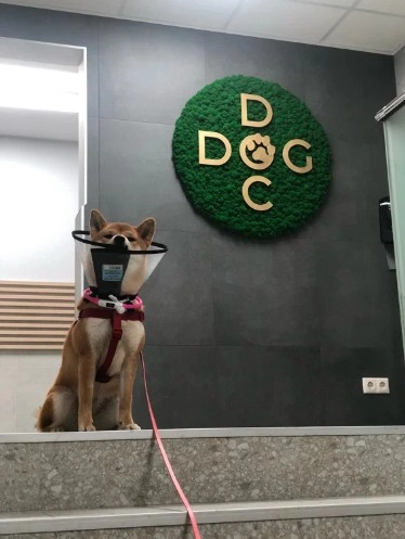 Ветеринарный центр "Doc&Dog".