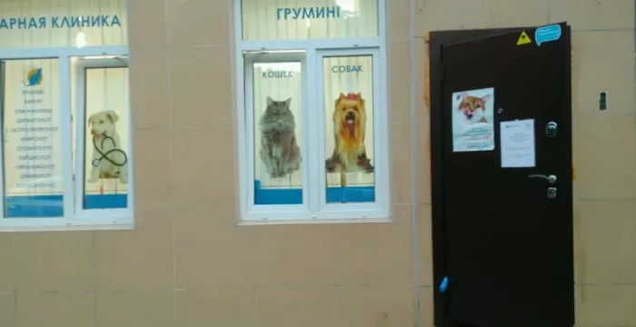 Ветеринарная поликлиника "Vetstate".