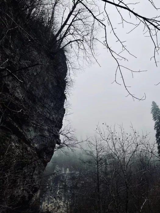 Агентство по организации походов и туров в горы "Mountains.Go"