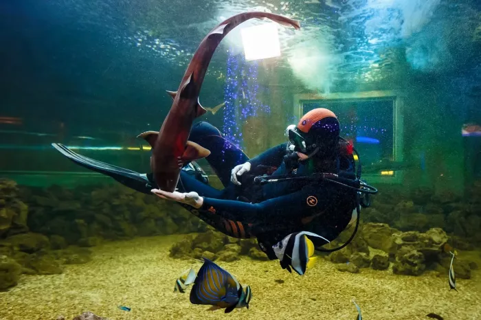Океанариум "OCEAN PARK"