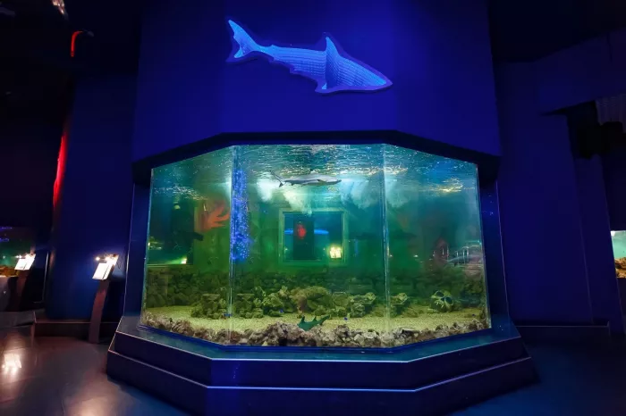 Океанариум "OCEAN PARK"