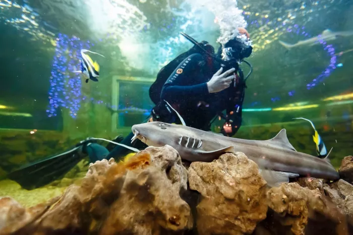 Океанариум "OCEAN PARK"