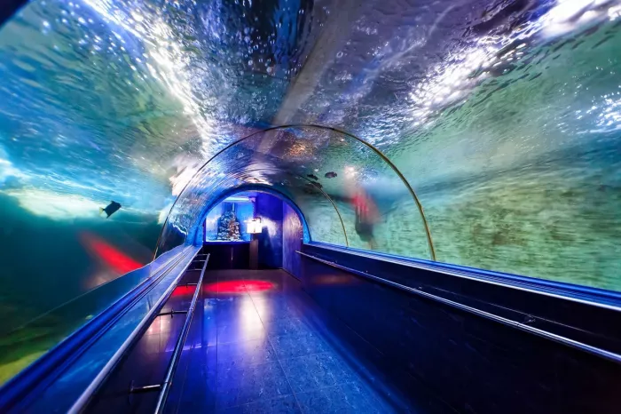 Океанариум "OCEAN PARK"