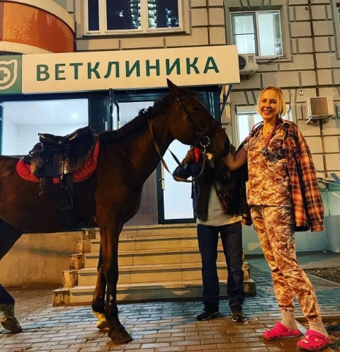 Ветеринарная клиника "Усатый полосатый".