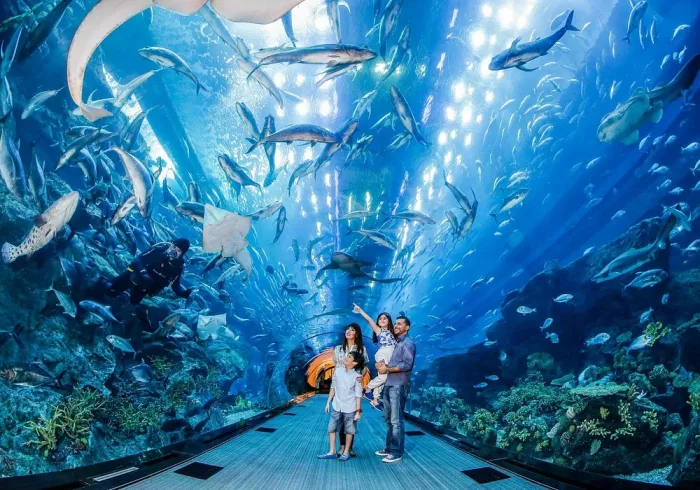 Океанариум "Dubai Aquarium & Underwater Zoo".