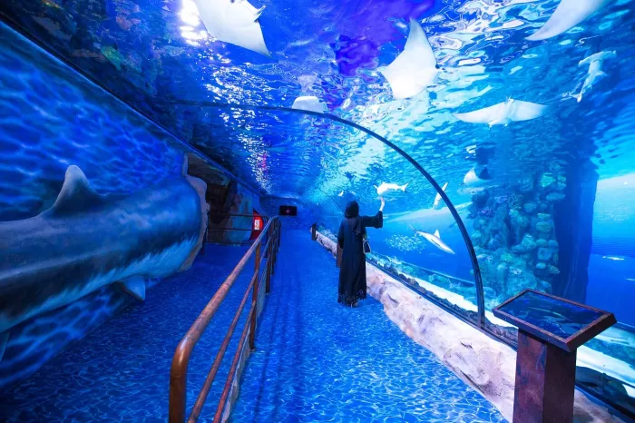 Океанариум "Dubai Aquarium & Underwater Zoo".