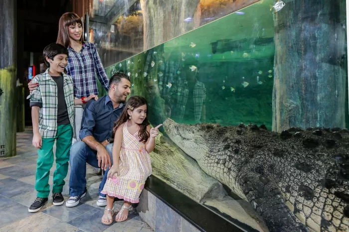 Океанариум "Dubai Aquarium & Underwater Zoo".
