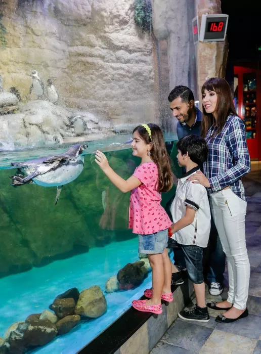Океанариум "Dubai Aquarium & Underwater Zoo".