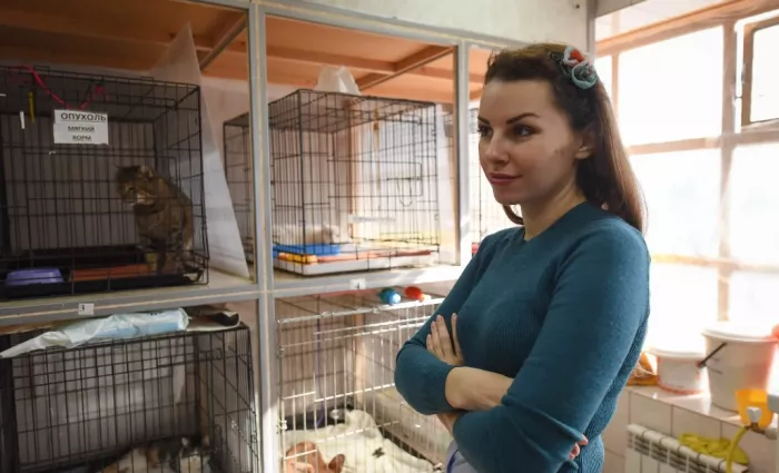Приют для пострадавших животных "Краснодог".