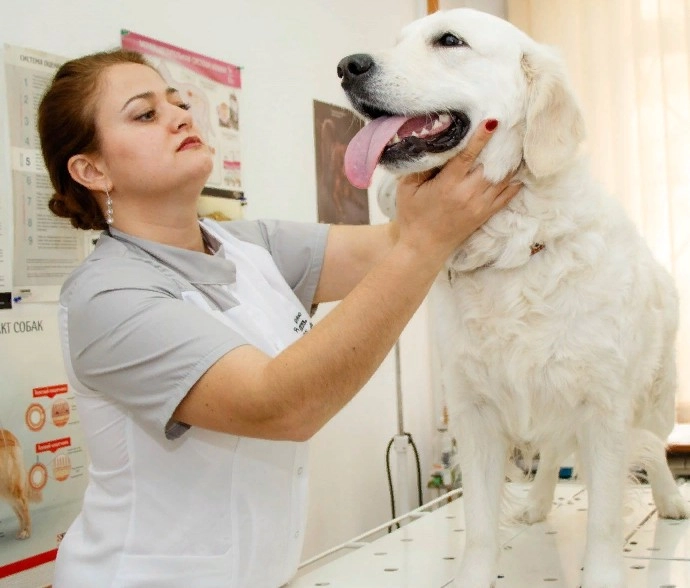 Ветеринарный центр  "VETmedicum".