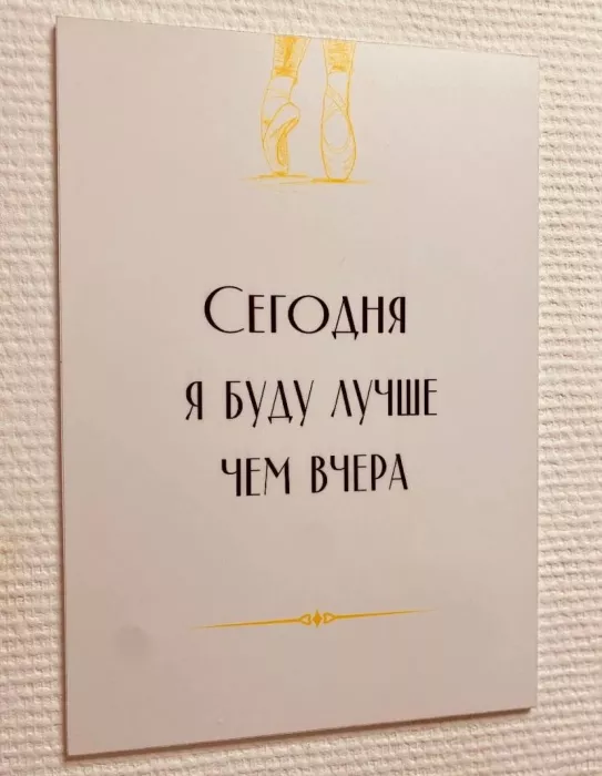 Студия балета и растяжки "Levita".
