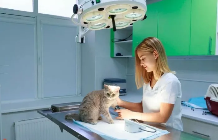 Ветеринарная клиника "ZooClinic24".