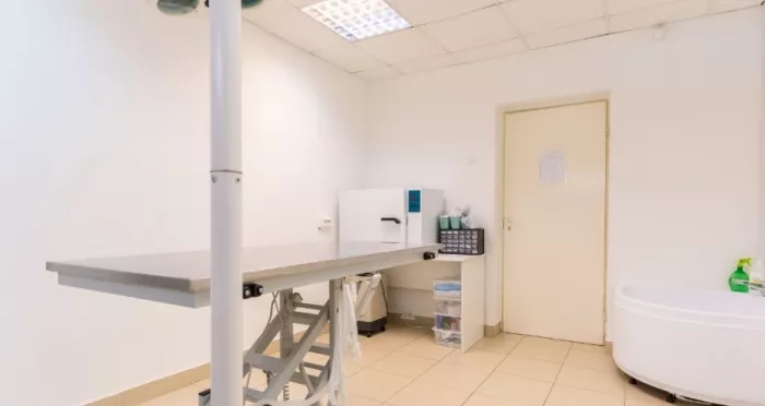 Ветеринарная клиника "ZooClinic24".