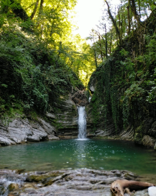 Самшитовый водопад