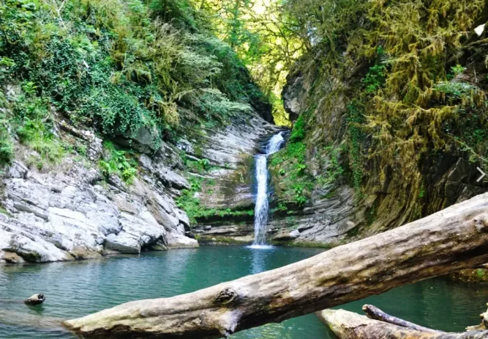 Самшитовый водопад