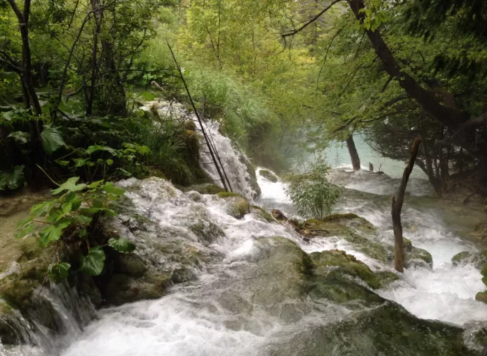 Самшитовый водопад