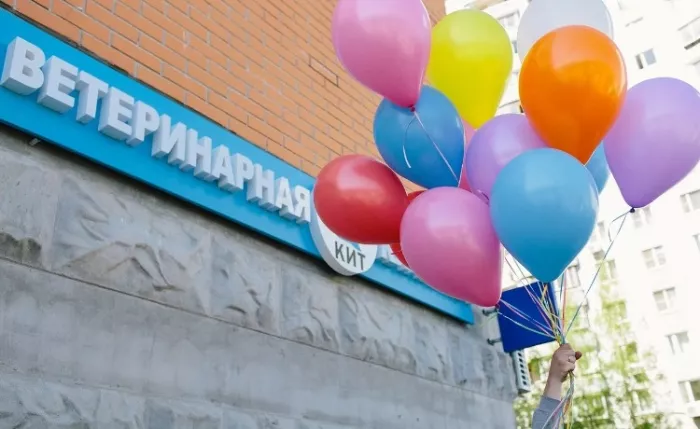 Ветеринарная клиника "Кит".