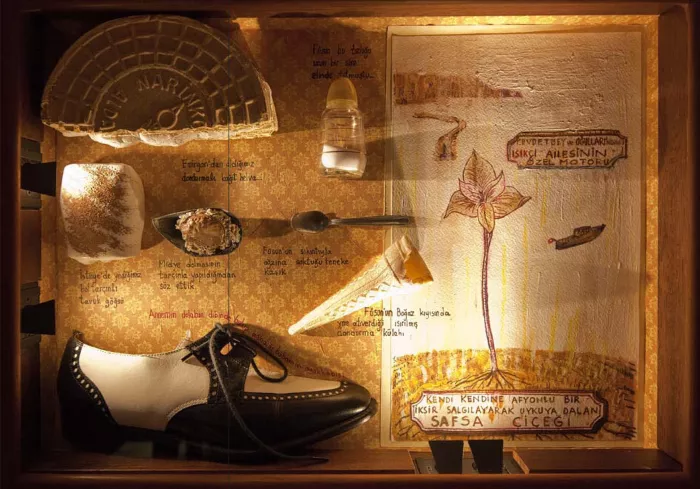 Музей невинности (Museum of Innocence)