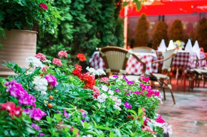 Restoran Kolarac