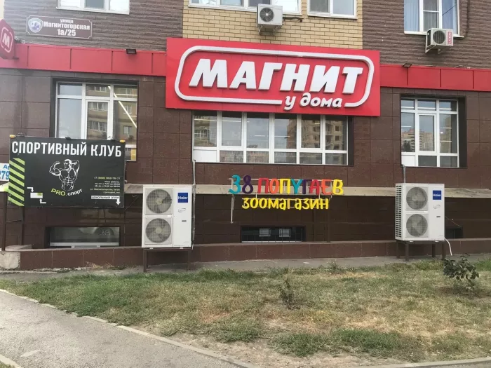Зоомагазин "38 Попугаев".