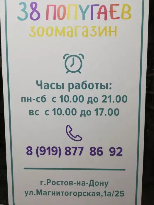 Зоомагазин "38 Попугаев".