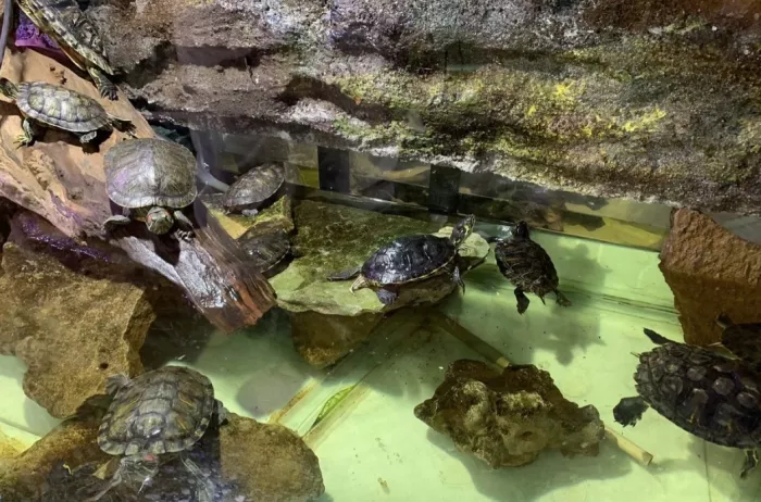 Public Aquarium and Tropicarium Belgrade