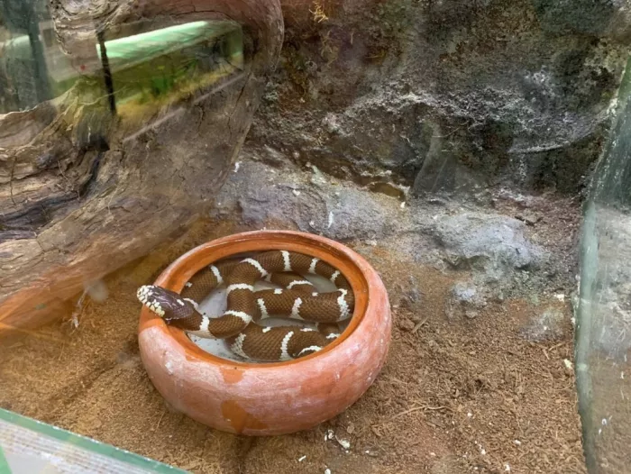 Public Aquarium and Tropicarium Belgrade