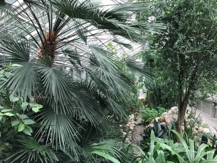 Jevremovac Botanical Garden