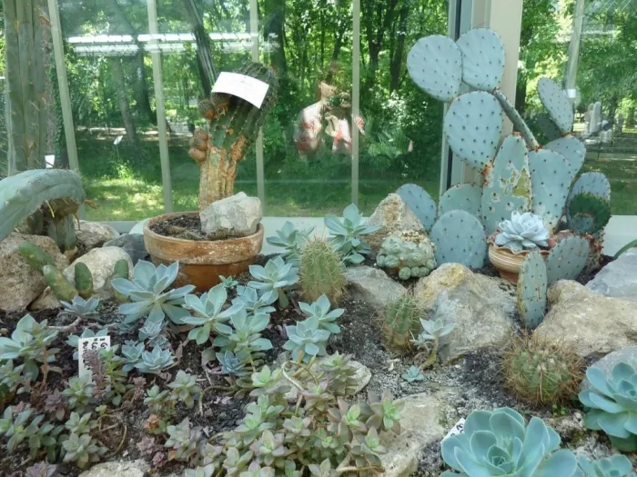 Jevremovac Botanical Garden