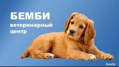 Ветеринарный центр "Бемби" .